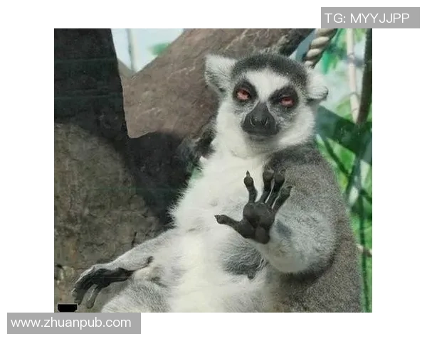 足球明星搞笑囧脸瞬间大盘点让你捧腹大笑的精彩瞬间合集 足球明星搞笑囧脸瞬间大盘点让你捧腹大笑的精彩瞬间合集